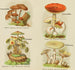 Pequeño atlas de los hongos Pl9 - Delachaux Niestlé — vista de la obra