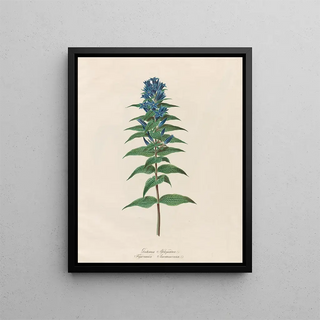 Petr Martynovich Gofman - Gentiana Asclepiadea.webp