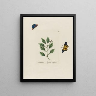 Petr Martynovich Gofman - Laurus Camphor.webp
