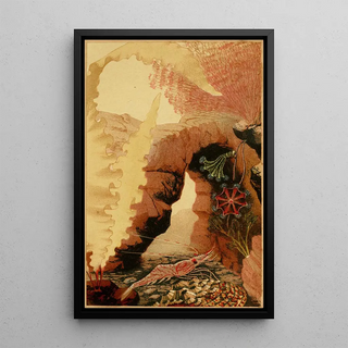 Philip Henry Gosse - The Aesop Prawn.webp