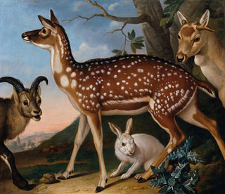 Philipp Ferdinand de Hamilton - Damwild Steinbock Und Hase.webp