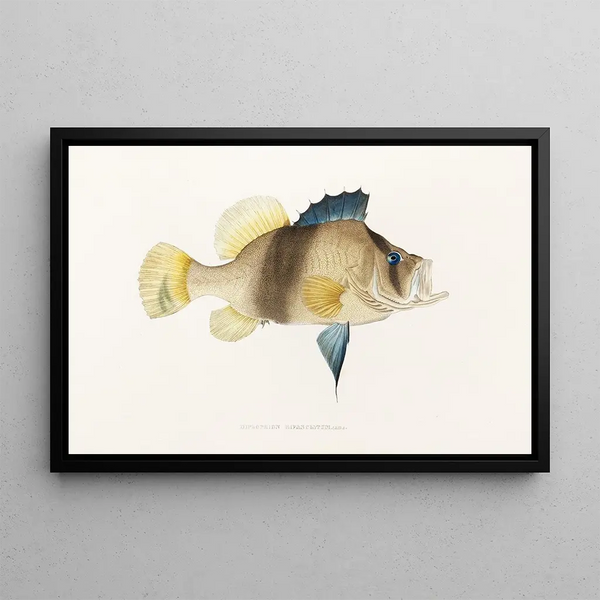 Fauna japonesa Pl003 - Philipp Franz Balthasar von Siebold — cuadro enmarcado en la pared