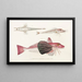 Fauna japonesa Pl023 - Philipp Franz Balthasar von Siebold — cuadro enmarcado en la pared