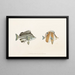 Fauna japonesa Pl054 - Philipp Franz Balthasar von Siebold — cuadro enmarcado en la pared