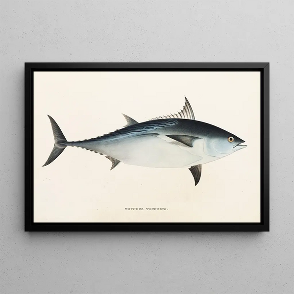 Fauna japonesa Pl061 - Philipp Franz Balthasar von Siebold — cuadro enmarcado en la pared