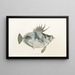 Fauna japonesa Pl079 - Philipp Franz Balthasar von Siebold — cuadro enmarcado en la pared