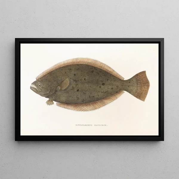 Fauna japonesa Pl111 - Philipp Franz Balthasar von Siebold — cuadro enmarcado en la pared