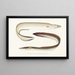 Fauna japonesa Pl130 - Philipp Franz Balthasar von Siebold — cuadro enmarcado en la pared