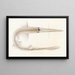Faune japonaise Pl154 - Philipp Franz Balthasar von Siebold — framed artwork on a wall