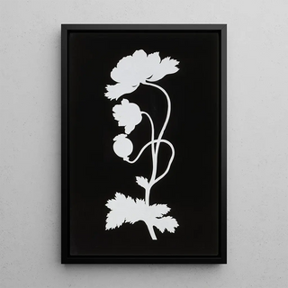 Philipp Otto Runge - Poppy.webp