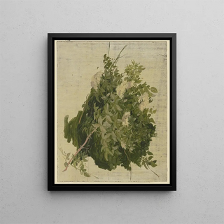 Philipp Rumpf - Bush with white blossoms.webp