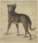 Perro - Philipp Rumpf — vista de la obra