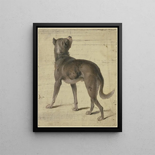 Philipp Rumpf - Dog.webp