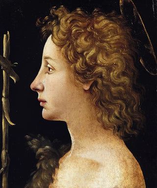 Piero di Cosimo - The Young Saint John the Baptist.webp