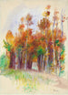 Bosque de árboles - Pierre-Auguste Renoir — vista de la obra