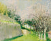 Los almendros en Cap Ferrat - Pierre-Eugène Montzin — vista de la obra