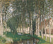 Les Peupliers - Pierre-Eugène Montzin — artwork view