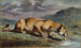 León herido - Pierre Andrieu — vista de la obra