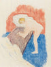Nu La Bañera - Pierre Bonnard — vista de la obra
