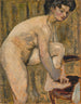 Nu - Pierre Bonnard — vista de la obra