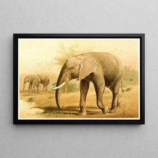 Pierre Jacques Smit - African Elephant.webp
