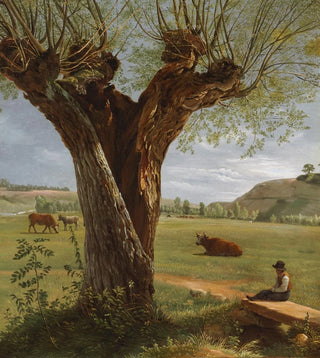 Pierre Jean Boquet - Pollard Willow.webp