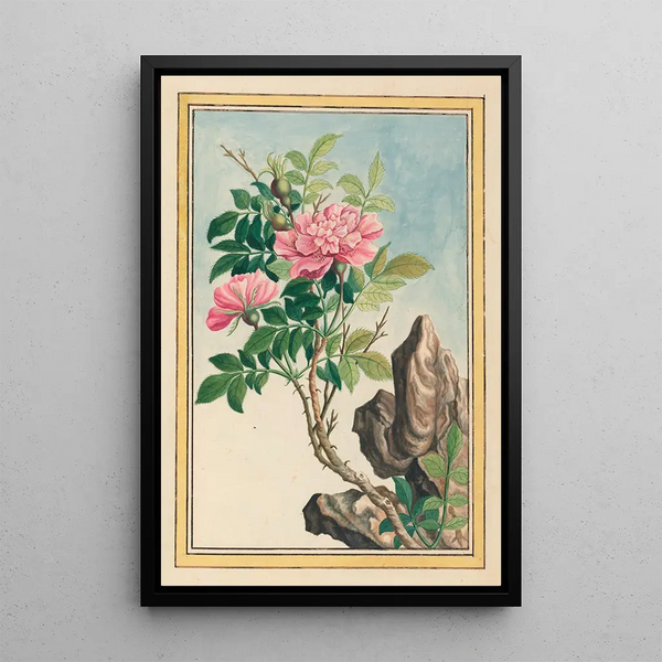 Pierre Joseph Buchoz - Plantes de Chine Pl002.webp