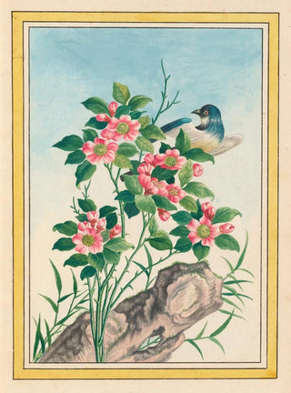 Pierre Joseph Buchoz - Plantes de Chine Pl006.webp