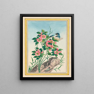 Pierre Joseph Buchoz - Plantes de Chine Pl006.webp