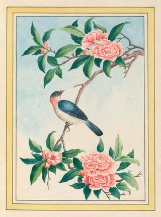Pierre Joseph Buchoz - Plantes de Chine Pl014.webp