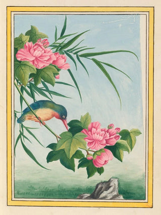 Pierre Joseph Buchoz - Plantes de Chine Pl016.webp