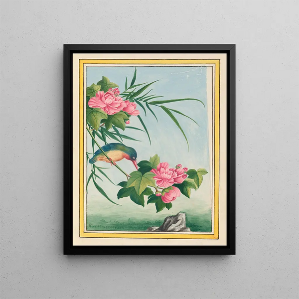 Pierre Joseph Buchoz - Plantes de Chine Pl016.webp