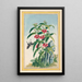 Plantas de China Pl021 - Pierre Joseph Buchoz — cuadro enmarcado en la pared