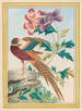 Plantas de China Pl.024 - Pierre Joseph Buchoz — vista de la obra