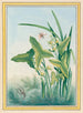 Plantas de China Pl.029 - Pierre Joseph Buchoz — vista de la obra