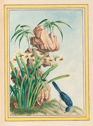 Pierre Joseph Buchoz - Plantes de Chine Pl040.webp