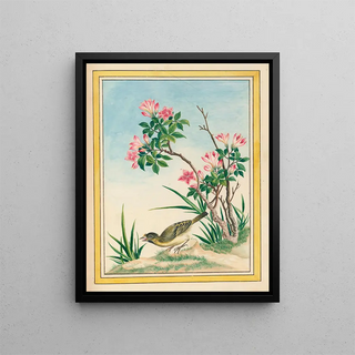 Pierre Joseph Buchoz - Plantes de Chine Pl044.webp