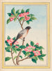 Chinese Plants Painting Pl046 - Pierre Joseph Buchoz — artwork view
