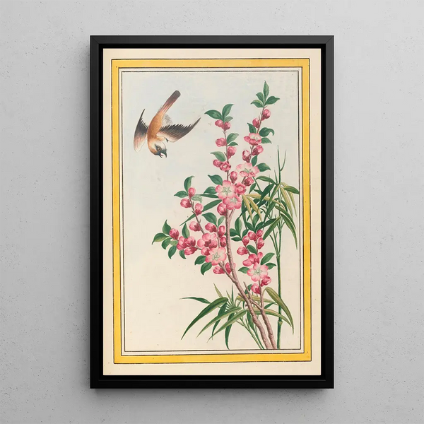 Pierre Joseph Buchoz - Plantes de Chine Pl049.webp