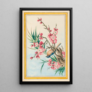 Pierre Joseph Buchoz - Plantes de Chine Pl051.webp