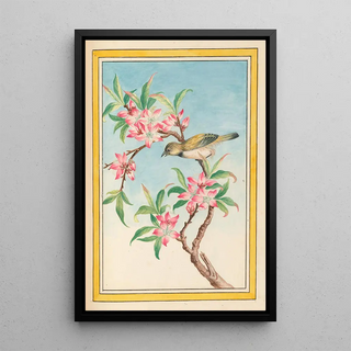 Pierre Joseph Buchoz - Plantes de Chine Pl052.webp