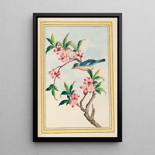 Pierre Joseph Buchoz - Plantes de Chine Pl053.webp