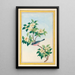 Chinese Plants Painting Pl064 - Pierre Joseph Buchoz — framed artwork on a wall