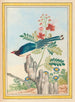 Plants of China Pl.071 - Pierre Joseph Buchoz — artwork view