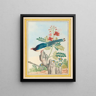 Pierre Joseph Buchoz - Plantes de Chine Pl071.webp