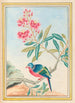 Plantas de China Pl072 - Pierre Joseph Buchoz — vista de la obra