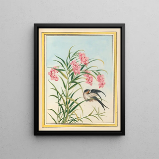 Pierre Joseph Buchoz - Plantes de Chine Pl081.webp