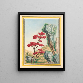 Pierre Joseph Buchoz - Plantes de Chine Pl092.webp