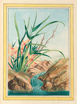 Pierre Joseph Buchoz - Plantes de Chine Pl096.webp