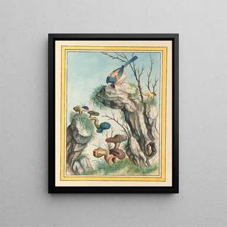 Pierre Joseph Buchoz - Plantes de Chine Pl098.webp